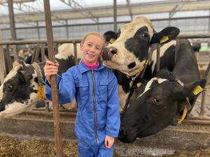 adopteer-een-koe-kate